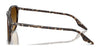 Ray-Ban RB2203 Sunglasses / Black №901/32 / Light Grey (2N 33.3%) / Size 52