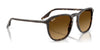 Ray-Ban RB2203 Sunglasses / Black №901/32 / Light Grey (2N 33.3%) / Size 52