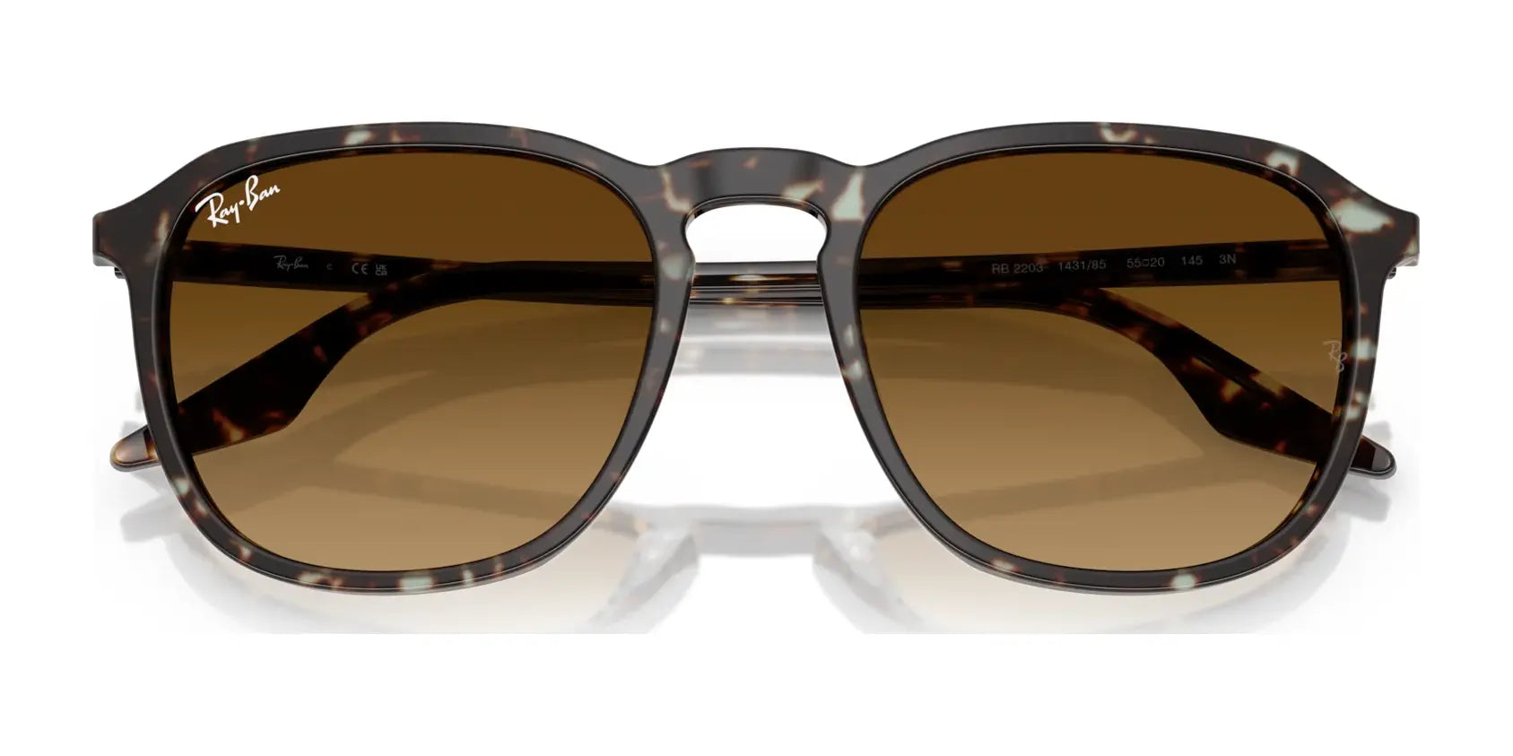 Ray-Ban RB2203 Sunglasses Ray-Ban RB2203 Sunglasses
