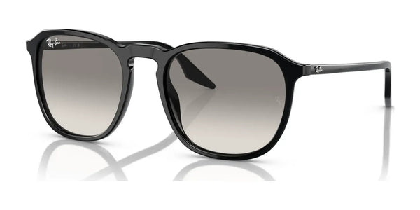 Ray-Ban RB2203 Sunglasses / Black №901/32 / Light Grey (2N 33.3%) / Size 52