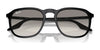 Ray-Ban RB2203 Sunglasses / Black №901/32 / Light Grey (2N 33.3%) / Size 52