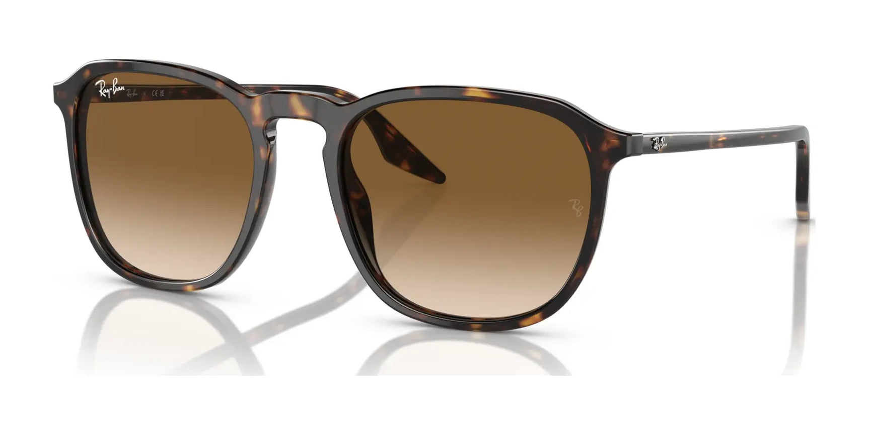 Ray-Ban RB2203 Sunglasses Ray-Ban RB2203 Sunglasses