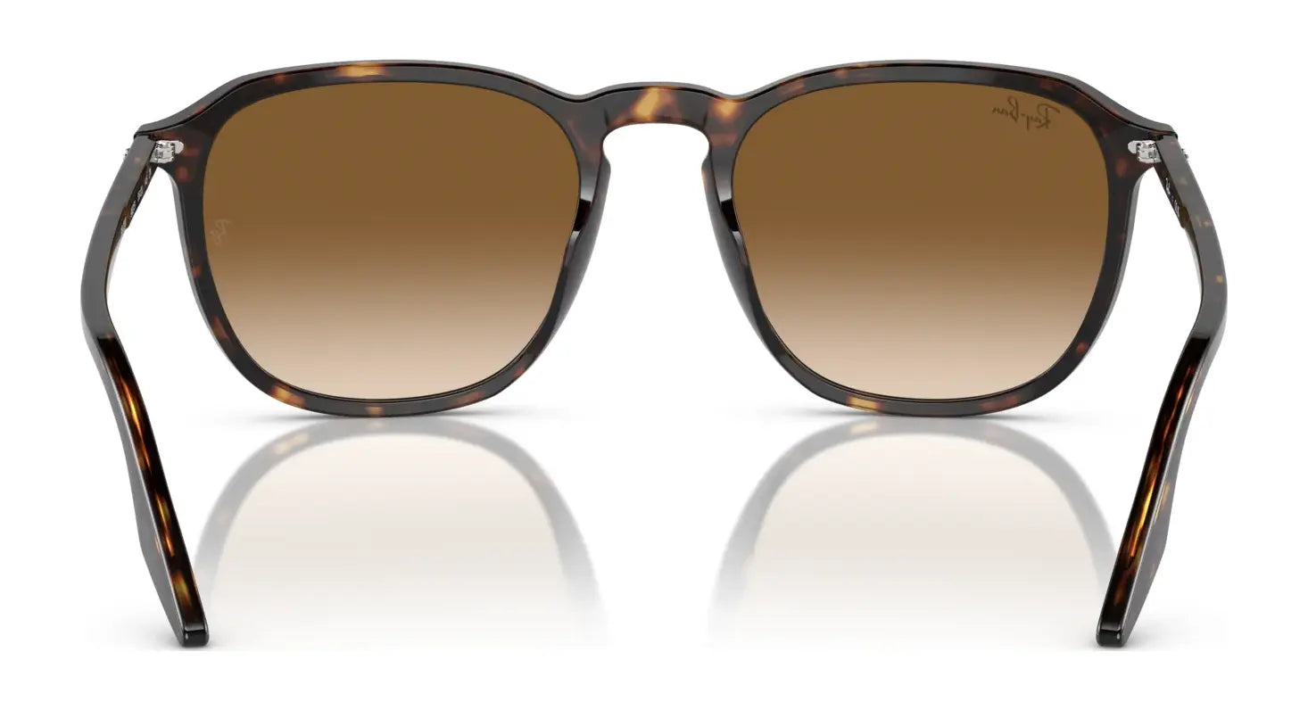 Ray-Ban RB2203 Sunglasses Ray-Ban RB2203 Sunglasses