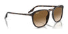 Ray-Ban RB2203 Sunglasses / Black №901/32 / Light Grey (2N 33.3%) / Size 52