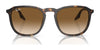 Ray-Ban RB2203 Sunglasses / Black №901/32 / Light Grey (2N 33.3%) / Size 52
