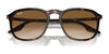 Ray-Ban RB2203 Sunglasses / Black №901/32 / Light Grey (2N 33.3%) / Size 52