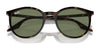 Ray-Ban RB2204 Eyeglasses / Havana №902/GJ / Clear/Green (Photochromic) (3F 13.44%) / Size 51