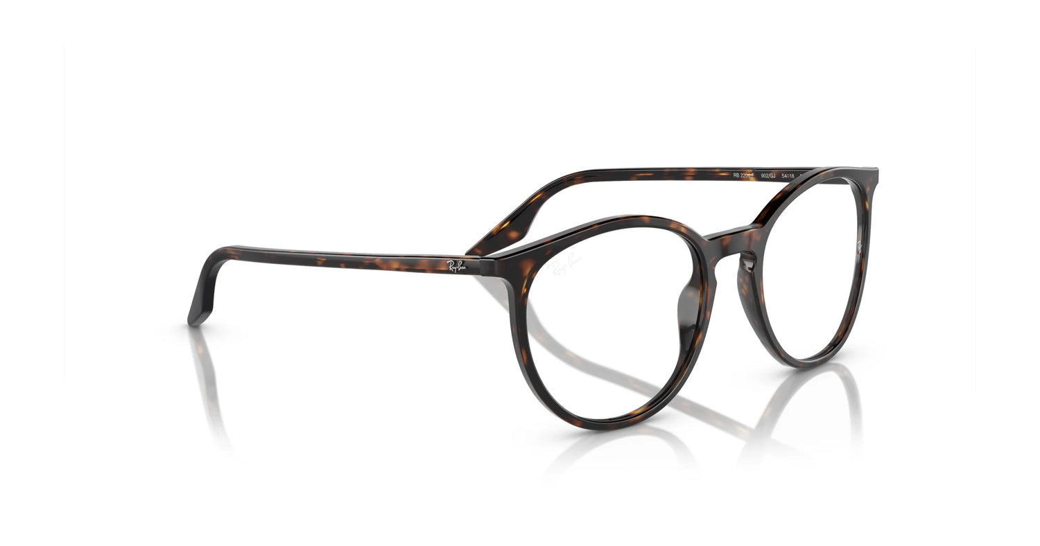Ray-Ban RB2204F Eyeglasses | Size 54 Ray-Ban RB2204F Eyeglasses | Size 54