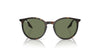 Ray-Ban RB2204F Eyeglasses | Size 54 / Havana №902/GJ / Clear/Green (Photochromic) (3F 13.44%)