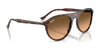Ray-Ban RB2215 Sunglasses / Black №901/31 / Green (3N 13.2%) / Size 56