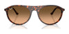 Ray-Ban RB2215 Sunglasses / Black №901/31 / Green (3N 13.2%) / Size 56