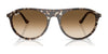 Ray-Ban RB2215 Sunglasses / Black №901/31 / Green (3N 13.2%) / Size 56