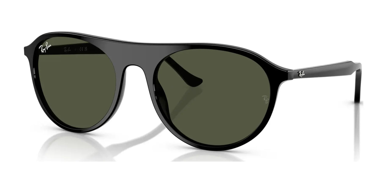 Ray-Ban RB2215 Sunglasses Ray-Ban RB2215 Sunglasses