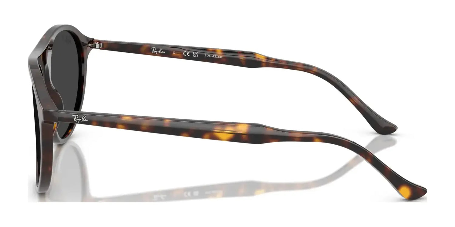 Ray-Ban RB2215 Sunglasses Ray-Ban RB2215 Sunglasses