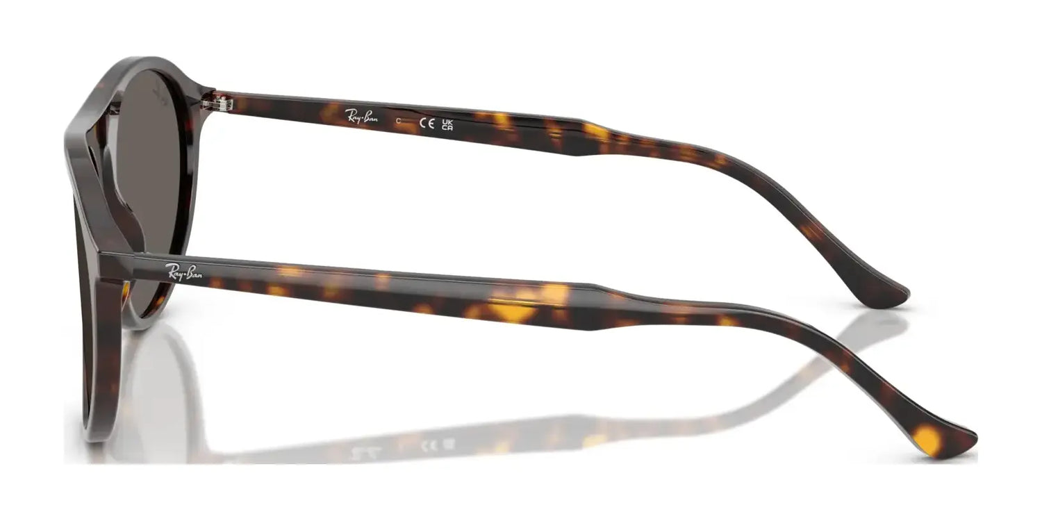 Ray-Ban RB2215 Sunglasses Ray-Ban RB2215 Sunglasses