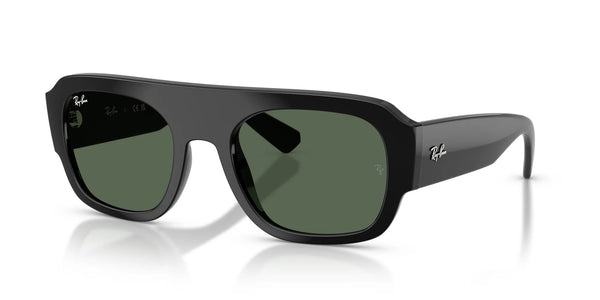 Ray-Ban RB2218 Sunglasses | Size 55 / Black №667771 / Dark Green (3N 14.3%)