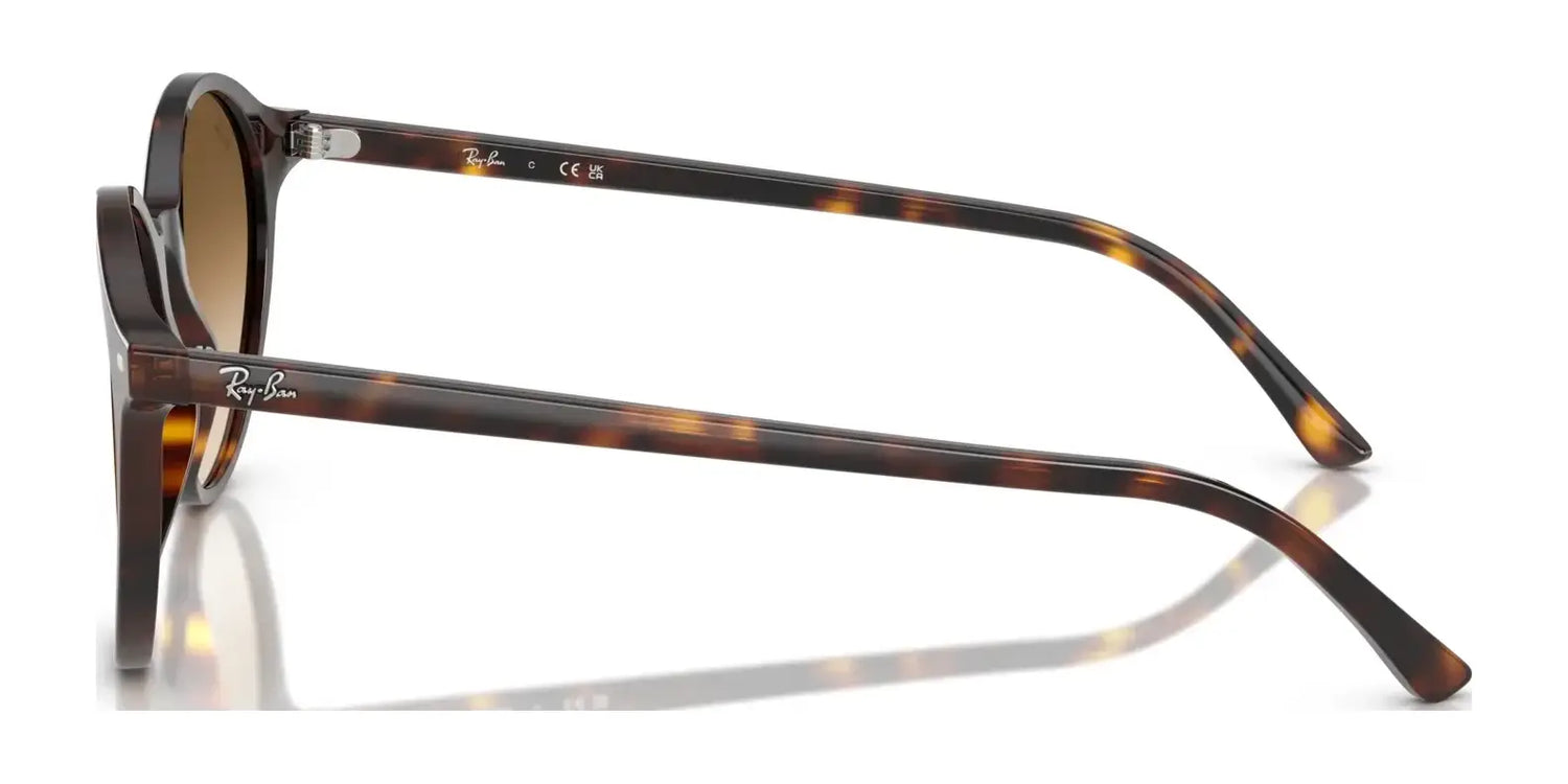 Ray-Ban BERNARD RB2230F Sunglasses | Size 51 Ray-Ban BERNARD RB2230F Sunglasses | Size 51