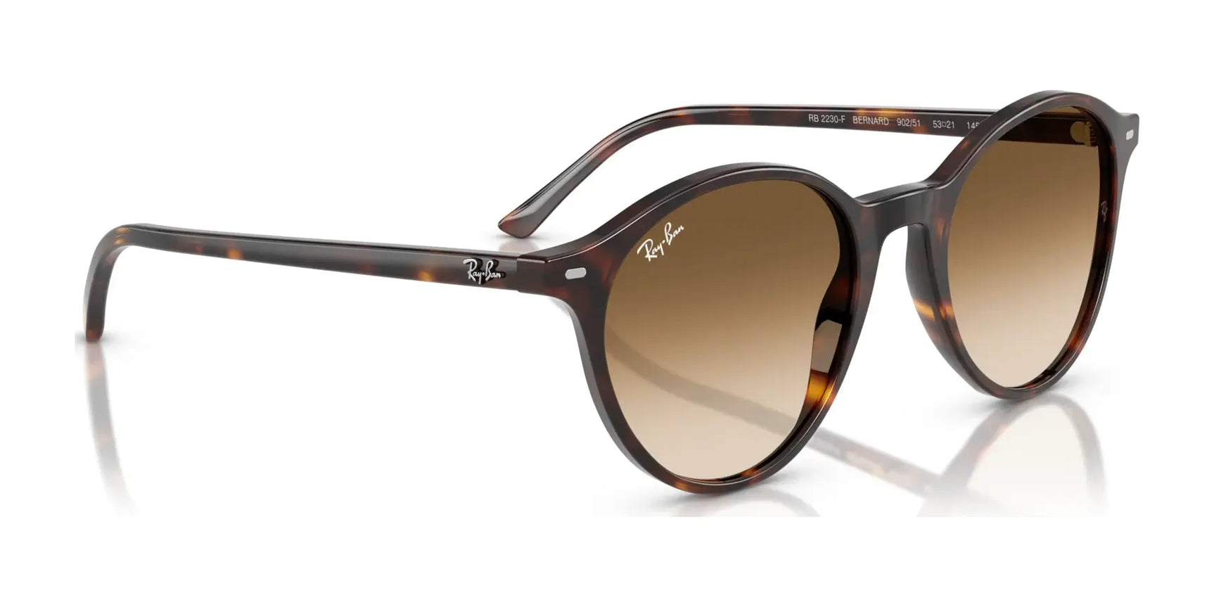 Ray-Ban BERNARD RB2230F Sunglasses | Size 51 Ray-Ban BERNARD RB2230F Sunglasses | Size 51