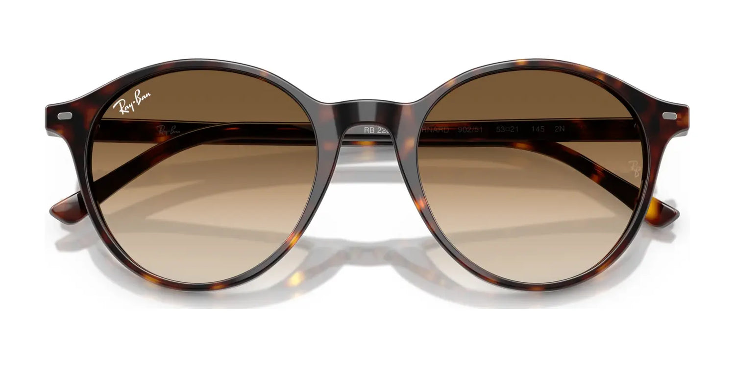 Ray-Ban BERNARD RB2230F Sunglasses | Size 51 Ray-Ban BERNARD RB2230F Sunglasses | Size 51