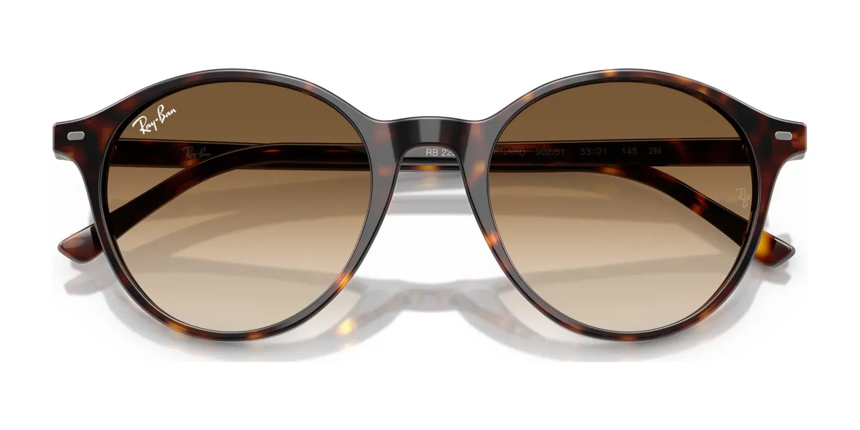 Ray-Ban BERNARD RB2230F Sunglasses | Size 51 Ray-Ban BERNARD RB2230F Sunglasses | Size 51