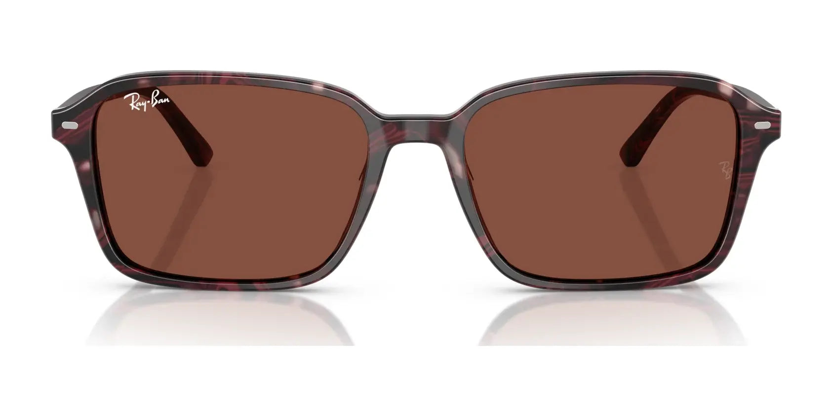 Ray-Ban RAIMOND RB2231 Sunglasses Ray-Ban RAIMOND RB2231 Sunglasses