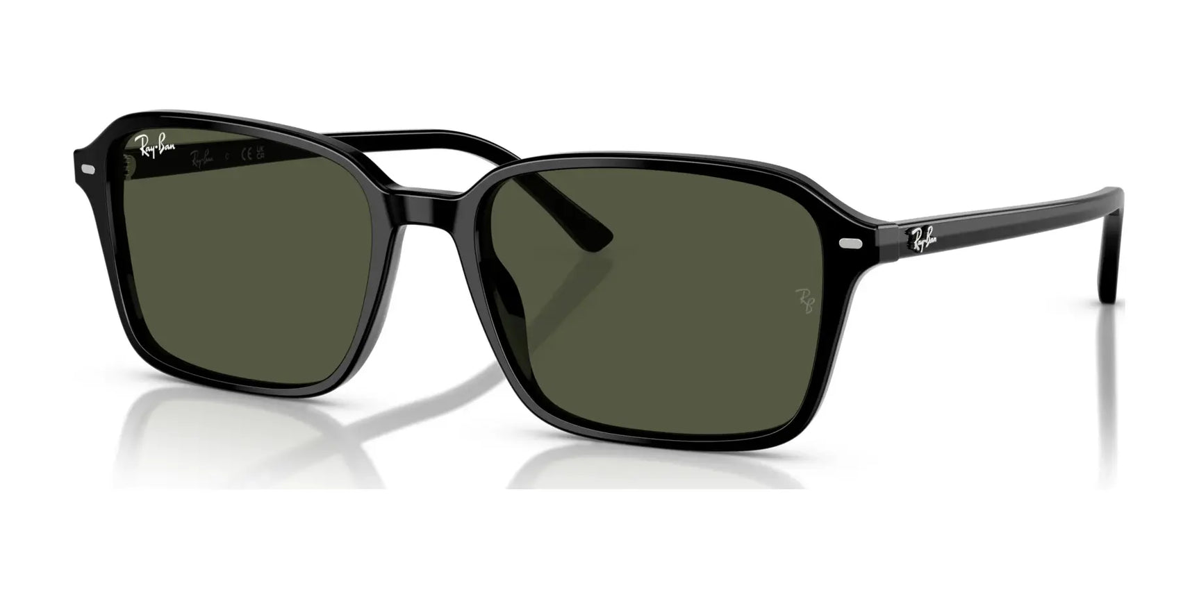 Ray-Ban RAIMOND RB2231F Sunglasses Black / G-15 Green Ray-Ban RAIMOND RB2231F Sunglasses Black / G-15 Green