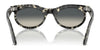 Ray-Ban WAYFARER OVAL RB2242 Sunglasses / Photo Waves Grey №138331 / Green (3N 13.2%) / Size 53