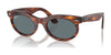 Ray-Ban WAYFARER OVAL RB2242 Sunglasses / Striped Havana №954/3R / Dark Blue (Polarized) (3P 13.7%) / Size 50