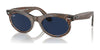 Ray-Ban WAYFARER OVAL RB2242F Eyeglasses | Size 53 / Havana №902/GI / Clear/Brown (Photochromic) (3F 13.66%)