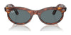 Ray-Ban WAYFARER OVAL RB2242F Sunglasses | Size 53 / Havana №902/R5 / Blue (3N 10.7%)