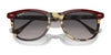 Ray-Ban EAGLEEYE RB2398 Sunglasses / Black On Transparent №129431 / Green (3N 13.2%) / Size 53