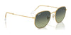 Ray-Ban HEXAGONAL RB3548 Sunglasses / Gold №919631 / G-15 Green (3N 13.2%) / Size 51