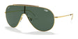 Ray-Ban WINGS RB3597 Sunglasses Arista Gold / Dark Green Ray-Ban WINGS RB3597 Sunglasses Arista Gold / Dark Green