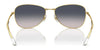 Ray-Ban RB3733 Sunglasses / Arista Gold №001/M2 / Brown (Polarized) (3P 15%) / Size 56