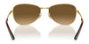 Ray-Ban RB3733 Sunglasses / Arista Gold №001/M2 / Brown (Polarized) (3P 15%) / Size 56