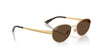 Ray-Ban RB3774D Sunglasses | Size 55 / Arista Gold №001/73 / Dark Brown (3N 13.6%)