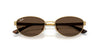 Ray-Ban RB3774D Sunglasses | Size 55 / Arista Gold №001/73 / Dark Brown (3N 13.6%)