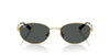 Ray-Ban RB3774D Sunglasses | Size 55 / Arista Gold №001/73 / Dark Brown (3N 13.6%)
