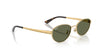 Ray-Ban RB3774D Sunglasses | Size 55 / Arista Gold №001/73 / Dark Brown (3N 13.6%)