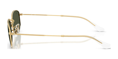 Ray-Ban RB3832 Sunglasses