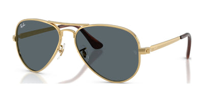Ray-Ban AVIATOR MAX RB3925 Sunglasses
