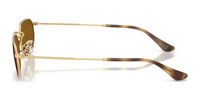 Ray-Ban RB3947 Sunglasses