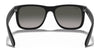 Ray-Ban JUSTIN RB4165 Sunglasses / Black №601/71 / Dark Green (3N 12.9%) / Size 55