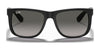 Ray-Ban JUSTIN RB4165 Sunglasses / Black №601/71 / Dark Green (3N 12.9%) / Size 55