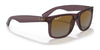 Ray-Ban JUSTIN RB4165 Sunglasses / Black №601/71 / Dark Green (3N 12.9%) / Size 55