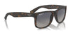 Ray-Ban JUSTIN RB4165 Sunglasses / Black №601/71 / Dark Green (3N 12.9%) / Size 55