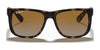 Ray-Ban JUSTIN RB4165 Sunglasses / Black №601/71 / Dark Green (3N 12.9%) / Size 55