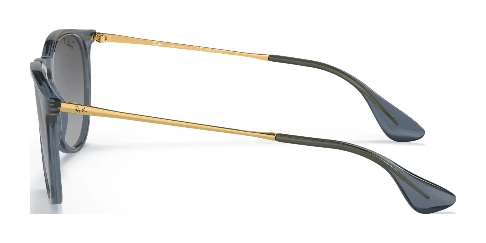 Ray-Ban ERIKA RB4171 Sunglasses | Size 54 Ray-Ban ERIKA RB4171 Sunglasses | Size 54