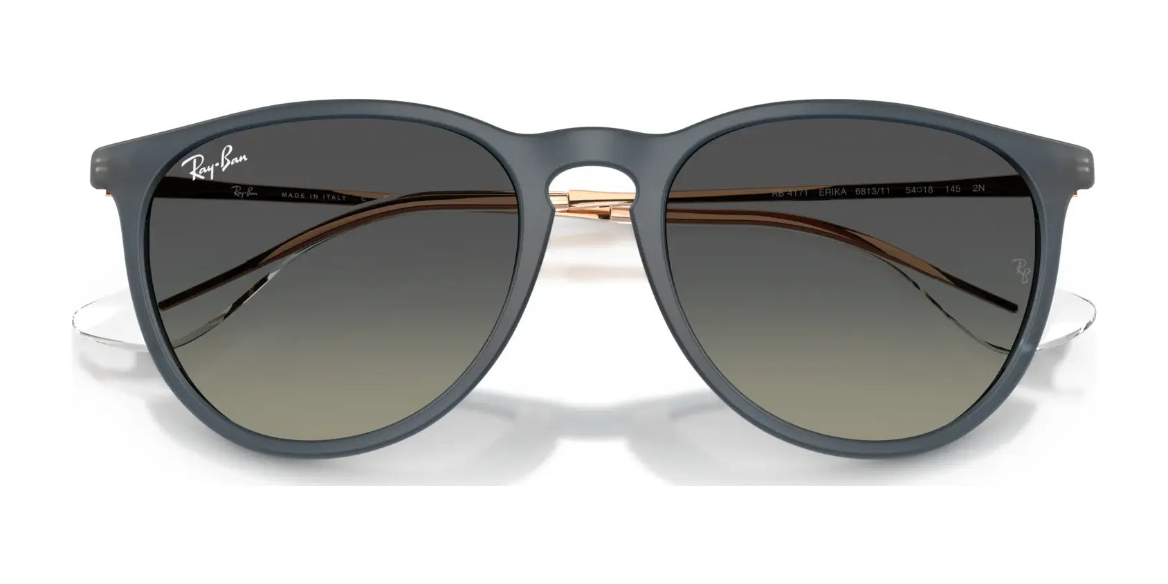 Ray-Ban ERIKA RB4171 Sunglasses | Size 54 Ray-Ban ERIKA RB4171 Sunglasses | Size 54