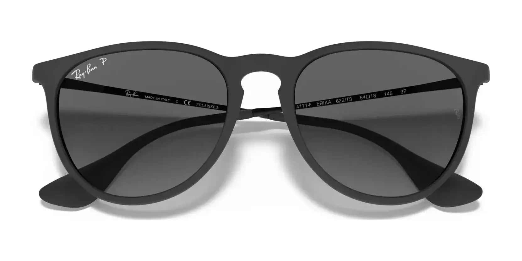 Ray-Ban ERIKA RB4171F Sunglasses Ray-Ban ERIKA RB4171F Sunglasses